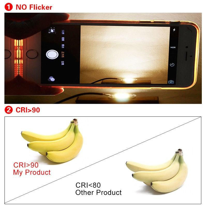 2 Stück GuangZhouZhenqin COB LED Chip für Flutlicht und Scheinwerfer, 20W, 220V, Weiß - Bild 2