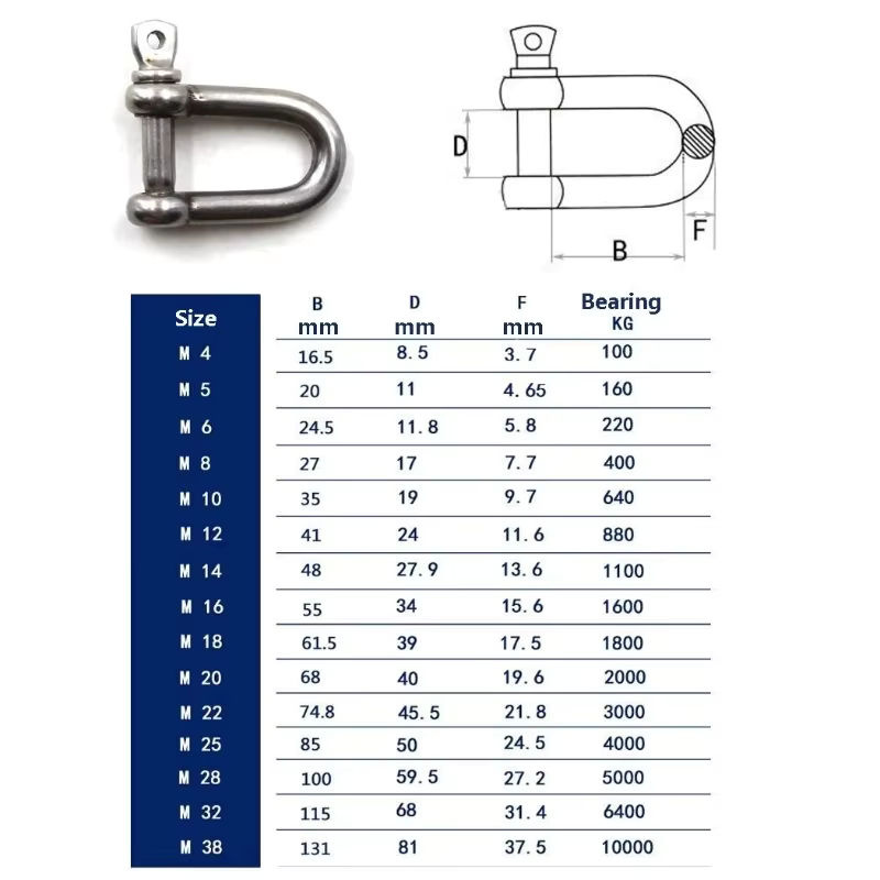 Rafford D-Schäkel aus Edelstahl 304, gerader kurzer D-Schäkelhaken für Bootsrigging-Hardware, M5 M8 M10 - Bild 6