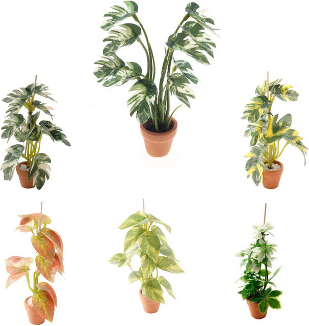 DIAPER&CORED Grüne Monstera Pflanze Topf, Puppenhaus Simulation, 1-teiliges Set - Bild 1