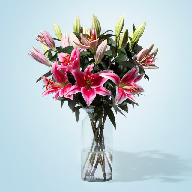 BLUME2000 Lilien pink 10 Stiele - Bild 1
