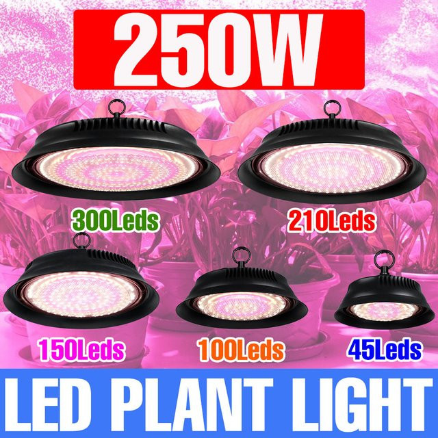 NJHIKG LED Pflanzenlampe 250W Vollspektrum Grow Light Schwarz für Indoor Hydrokultur und Gewächshaus - Bild 1