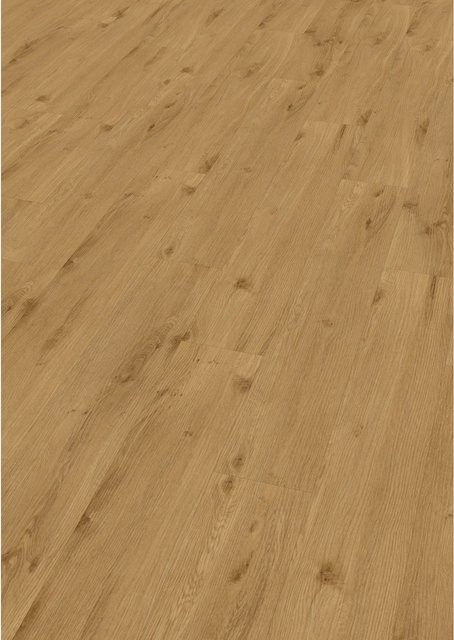 Check One Click-Vinylboden Julius Eiche in Braun in Plank-Optik - Bild 1
