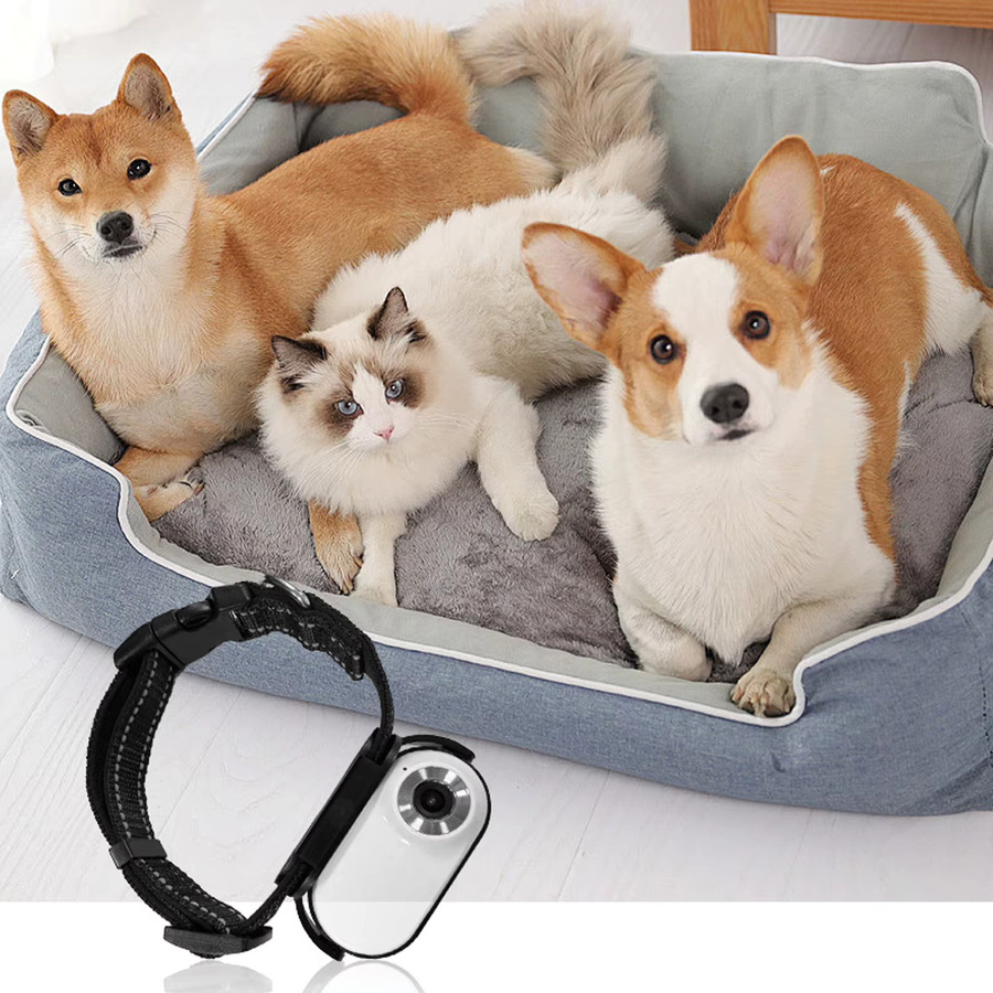 TOPINCN Haustierhalsband-Kamera mit 120-Grad-Objektiv und OTG-Verbindung, magnetische Action-Kamera für Hund und Katze in Schwarz - Bild 3