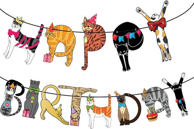 JETTING Happy Birthday Banner Katzen-Thema Dekoration Mehrfarbig - Bild 1