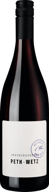 Peth-Wetz Rotwein Pinot Noir 2024, Rheinhessen, trocken, 0,75 l - Bild 1