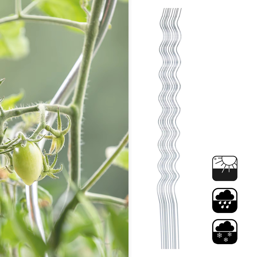 Floordirekt Tomatenspiralstäbe aus verzinktem Stahl als Rankhilfe und Pflanzenstütze für den Gemüsegarten, 10 Stück, Höhe: 180 cm, Breite: 110 cm, Farbe: Silber - Bild 3