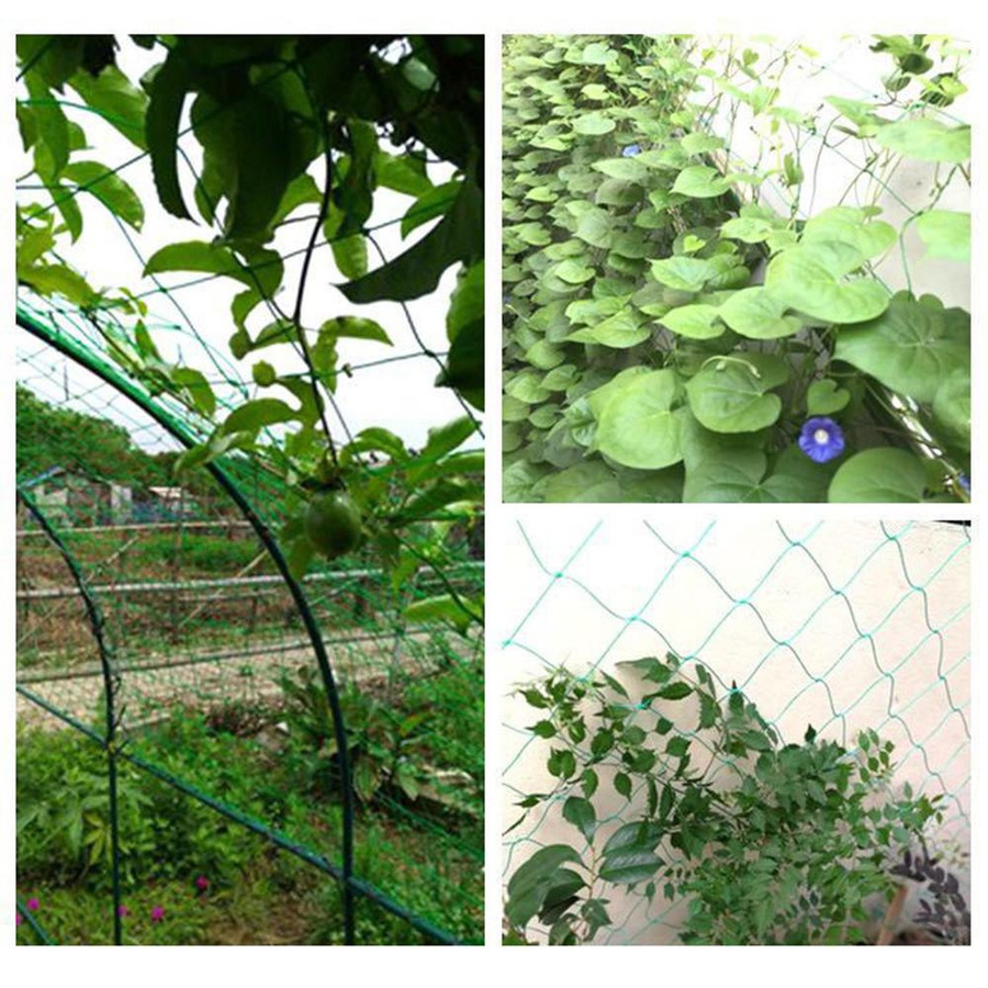 Choubo seven Kletternetz für den Garten aus Nylon als Pflanzengitter für Kletterpflanzen wie Luffa, Morning Glory und Gurkenreben, B: 5 m, H: 1,8 m - Bild 7