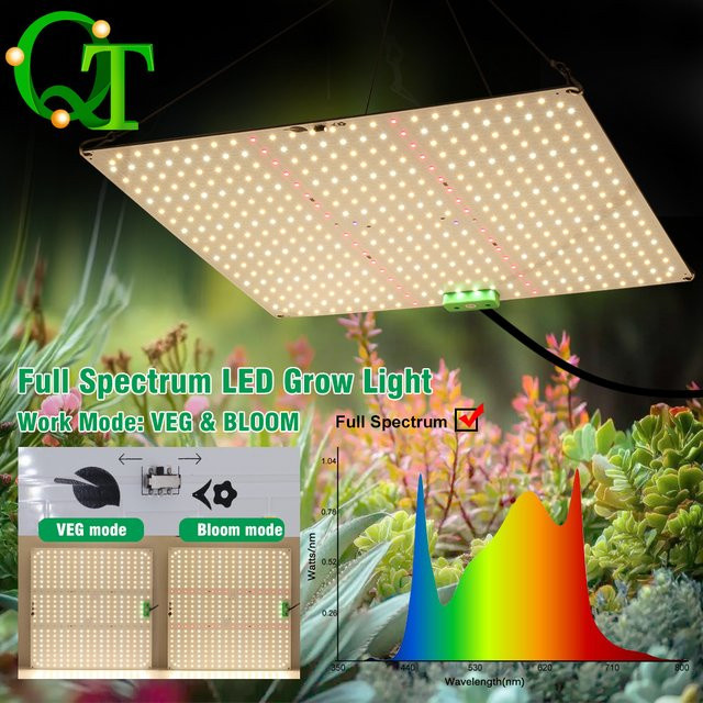GRAXGROW Vollspektrum LM281B LED Pflanzenlampe mit einstellbarem Spektrum für Hydroponik und Gewächshäuser in allen Wachstumsphasen - Bild 1