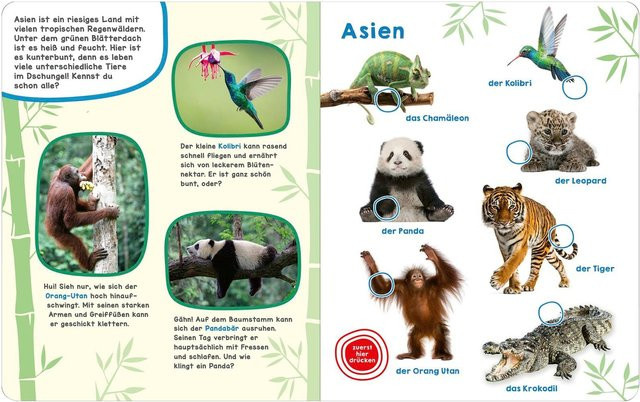 Tiere der Welt, arsEdition, Pappbilderbuch - Bild 1