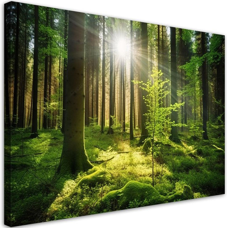 Feeby Leinwanddruck Wald Bäume Natur Landschaft Grün B: 60 cm, H: 40 cm - Bild 1