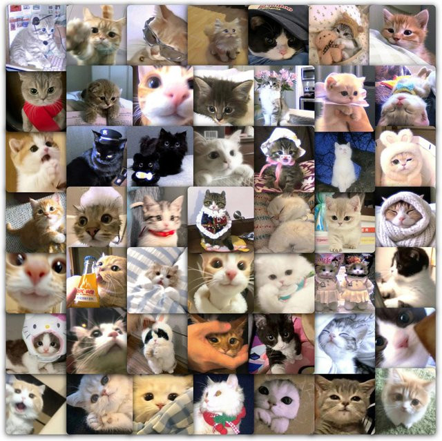 59 Blurry Kitten Aufkleber in Multicolour für deine DIY-Dekoration und Bastelprojekte von YourLife Store - Bild 1