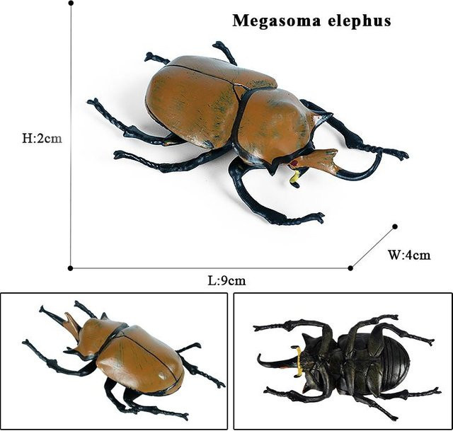 Oenux Wild Insekten Tiere Modell, Actionfiguren, ab 3 Jahre - Bild 1