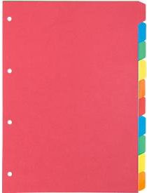 Schäfer Shop Select Kartonregister A4, 10er Pack, 4-fach Lochung, 160 g/qm Recyclingkarton, Multicolor - Bild 1