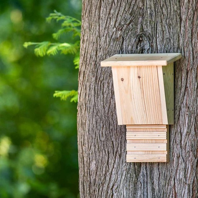 CJ Wildlife Fledermauskasten Igor, Bausatz, Holz - Bild 1
