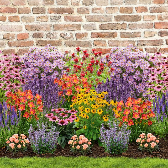 Buntes Staudenbeet Anziehender Insektenmagnet mit 19 Pflanzen für deinen Garten - Bild 1