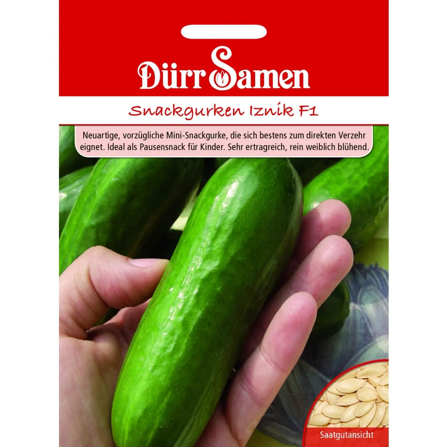 Dürr Snackgurke Iznik F1 Saatgut 155 g - Bild 2