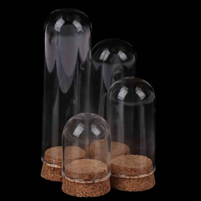Runde Glas-Glaskuppel mit Holzbasis und Kork für 1/6 Puppen Display und Dekoration, transparent und braun - Bild 3