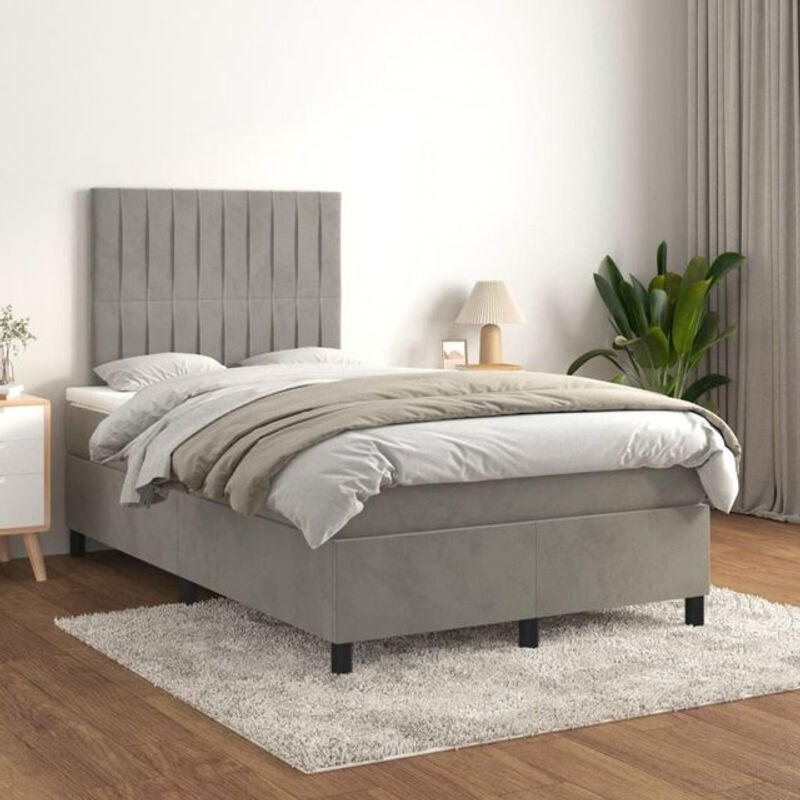 Vidaxl Boxspringbett mit Matratze aus Samt in Grau, B/T/H: 200 x 120 x 118 cm - Bild 1