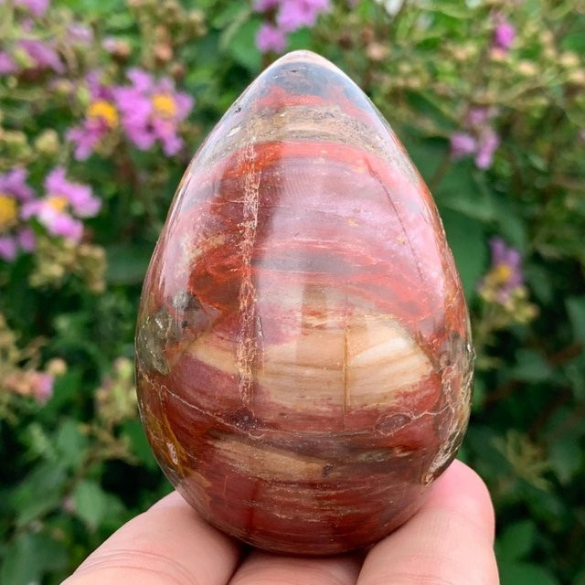 CrystalHola Versteinertes Holz-Ei aus Naturstein, polierter Deko-Stein in Ovalform, 100-400g - Bild 1