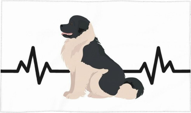 Creative Man Hundetuch Neufundländer Herzschlag Saugfähig und Schnelltrocknend aus Baumwolle, Breite: 30 cm, Höhe: 60 cm - Bild 1