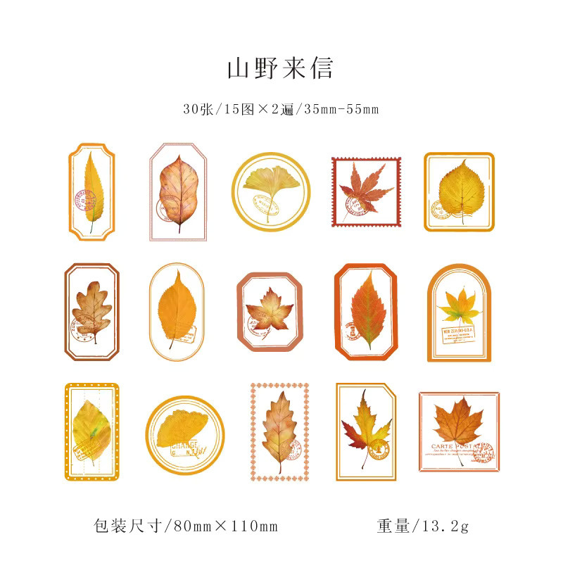 Mist Flower Series PET-Aufkleber Set mit 30 Stück in 6 verschiedenen Stilen, dekorative Retro-Pflanzenaufkleber für DIY-Schreibwaren und Notizbücher, Mehrfarbig - Bild 2