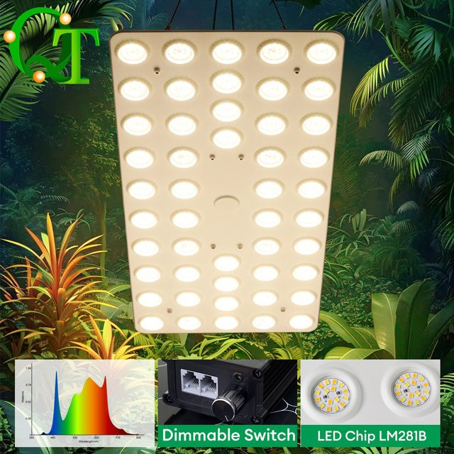 GRAXGROW LED-Wachstumslicht Vollspektrum Dimmbares Panel mit Reflektor für Garten und Bauernhof - Bild 1