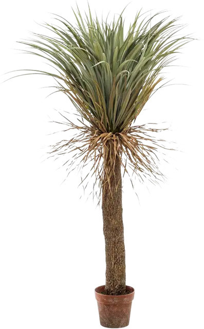 Künstliche Yucca Palme Kristina von Aplanta, Höhe: 150 cm - Bild 1