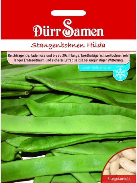 Dürr Samen Stangenbohnen Hilda Saatgut 155 g - Bild 1