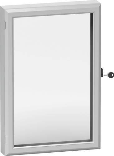 Schneider Electric NSYCW86 Sichtfenster transparent B: 60 cm, H: 80 cm - Bild 1