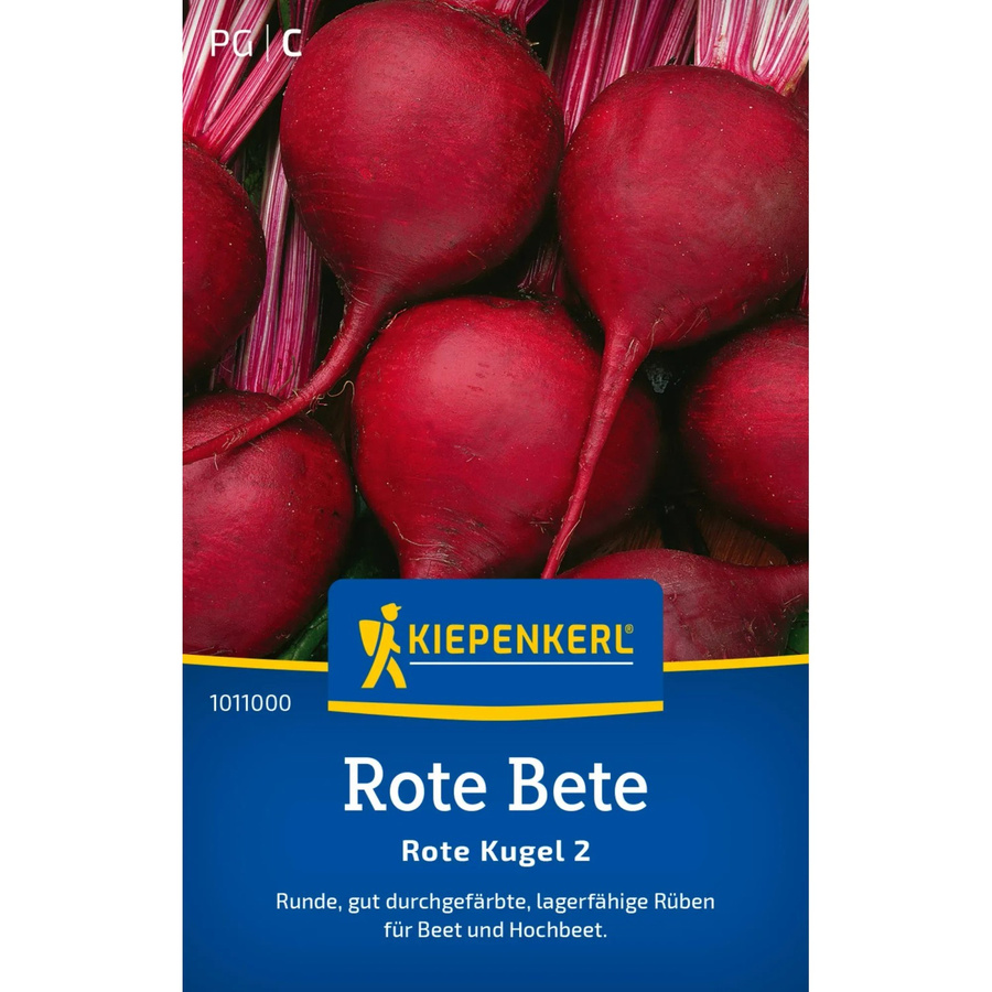 Kiepenkerl Rote Rüben Sorte Rote Kugel - Bild 2