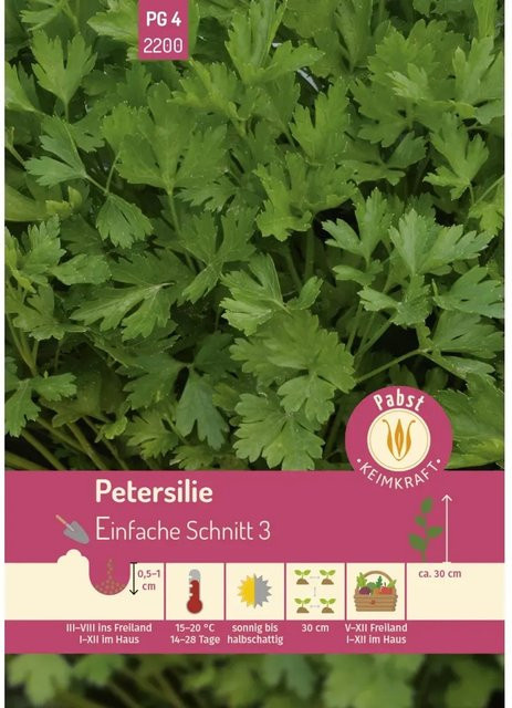 Pabst Keimkraft Petersilie glattblättrig Saatgut für Garten, Balkon und Fensterbank - Bild 1