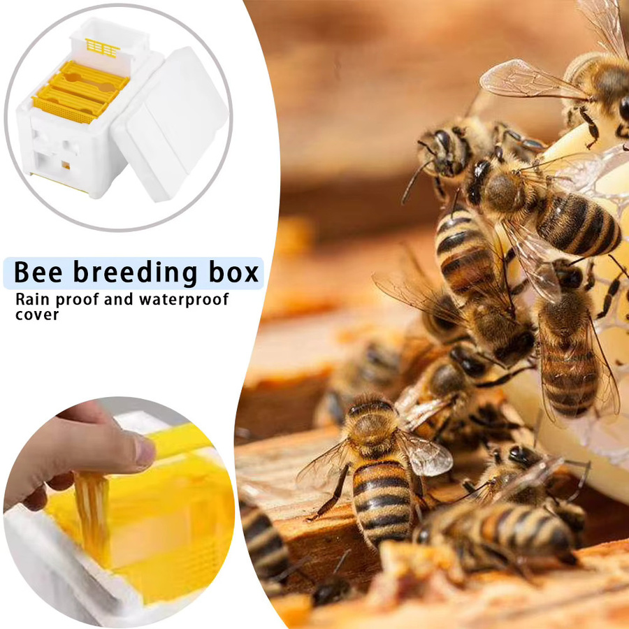 APWIKOGER Beehive Bienenzucht König Boxen Multi-Funktion Bienen Nest Werkzeuge und Rahmen Halter - Bild 3