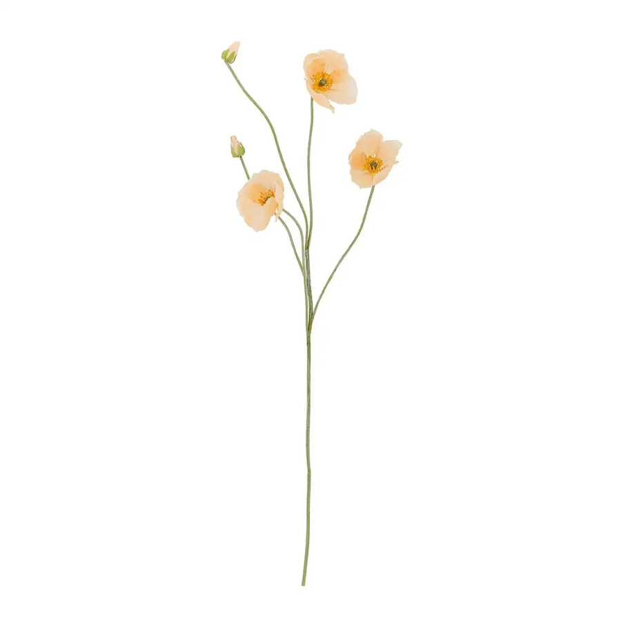 Bloomingville Kunstzweig Mohnblume in Beige, Höhe: 110 cm - Bild 1