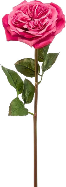 Künstliche Rose Felicitas von Aplanta, Höhe: 60 cm - Bild 1