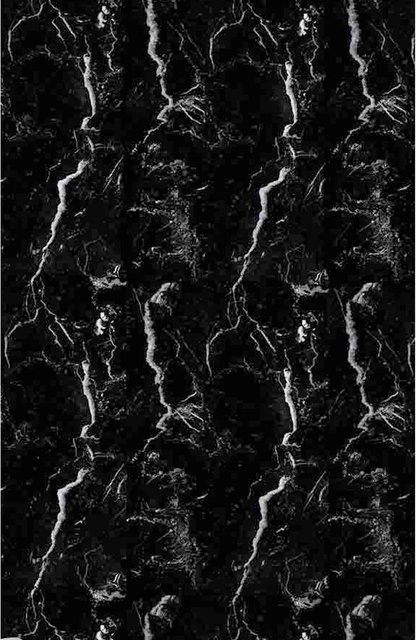 Euroshowers Duschvorhang aus Polyester in Schwarz mit Metallösen und 12 Duschvorhangringen, wasserabweisend und antibakteriell, B/H: 180 x 200 cm - Bild 1