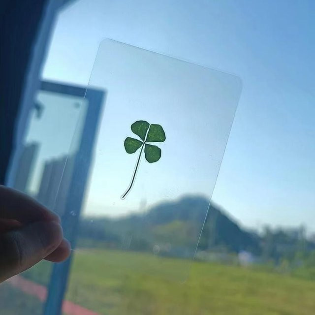 Transparente Glücksklee Postkarten aus Naturgras als Lesezeichen - Bild 1