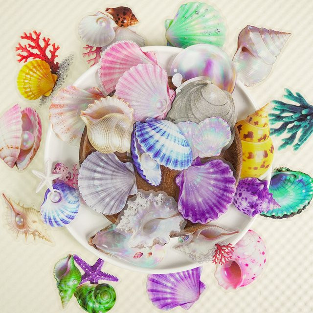 56 Stück transparente PET-Muschel-Aufkleber von RecordingYourLife Store, wasserfeste Aufkleber in Multicolour für Tagebücher und Wasserflaschen - Bild 1