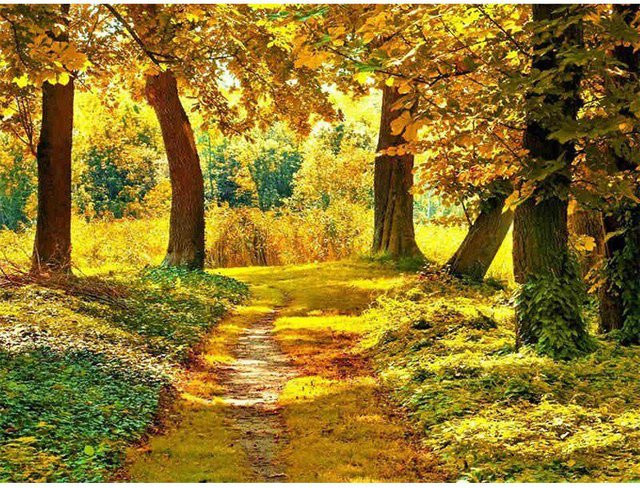 FIYO 5D-Diamantgemälde Herbstbaumlandschaft in Gelb und Multicolour, Motiv Natur Illustration, B/H: 30 x 20 cm - Bild 1