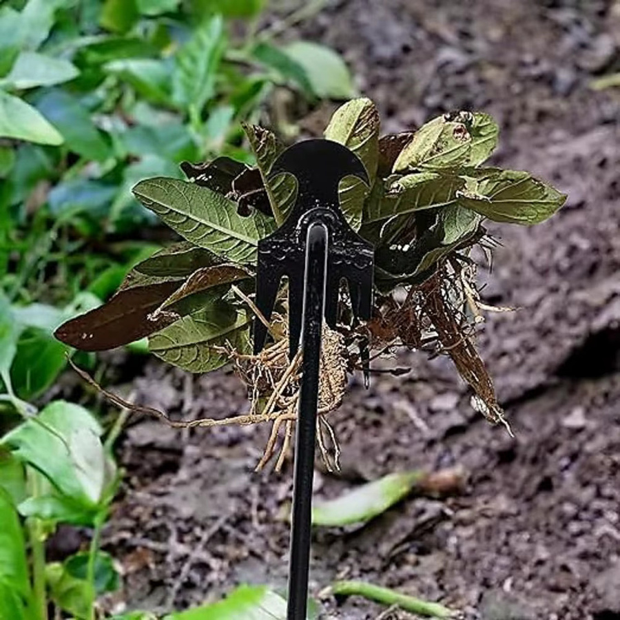 Multifunktionaler Hand-Unkrautjäter mit 4 Zähnen in Schwarz für den Garten und Gemüsegarten - Bild 2