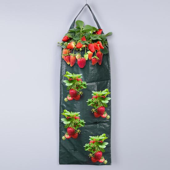 Hängender Pflanzbeutel von jijijing für Tomaten und Erdbeeren zur vertikalen Gartenarbeit auf dem Balkon oder im Hausgarten - Bild 6