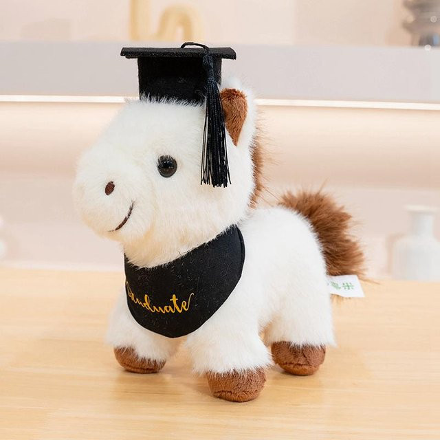 Yiran Health & Beauty Kuscheltier Plüschtiere, Capybara Bär Hund, mit Abschlussrobe und Doktorhut - Bild 1