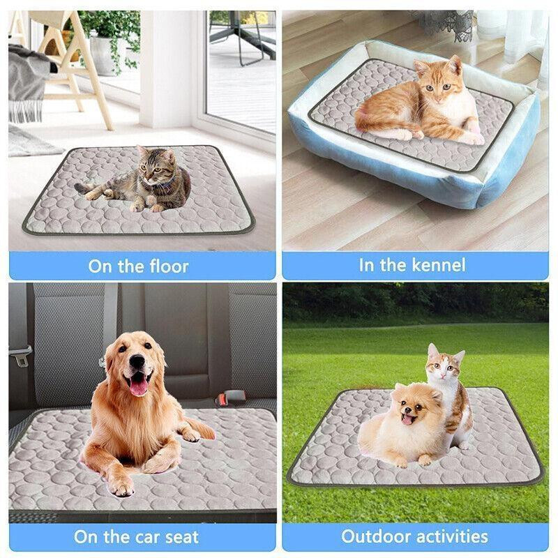Kühlmatte für Hunde und Katzen von RUI RUI YU 2, blau, B/T: 40 x 30 cm - Bild 2