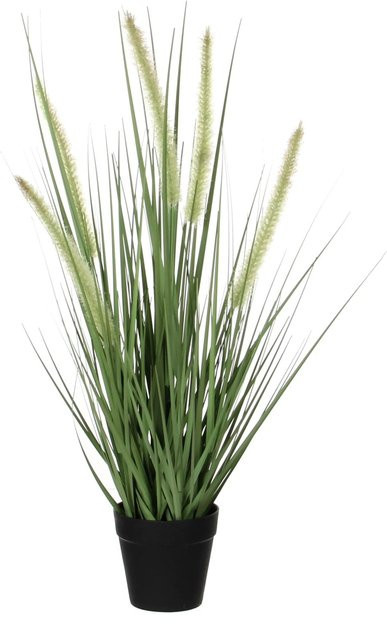 Mica Decorations Kunstpflanze Gras Dogtail Lagurus in Grün im Topf, Höhe: 53 cm, Durchmesser: 30 cm - Bild 1