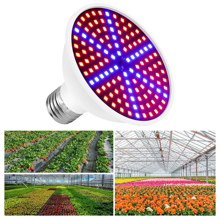 25W Vollspektrum LED Pflanzenwachstumslampe E27/E26 für Hydroponik, Zimmerpflanzen und Setzlinge in Weiß - Bild 4