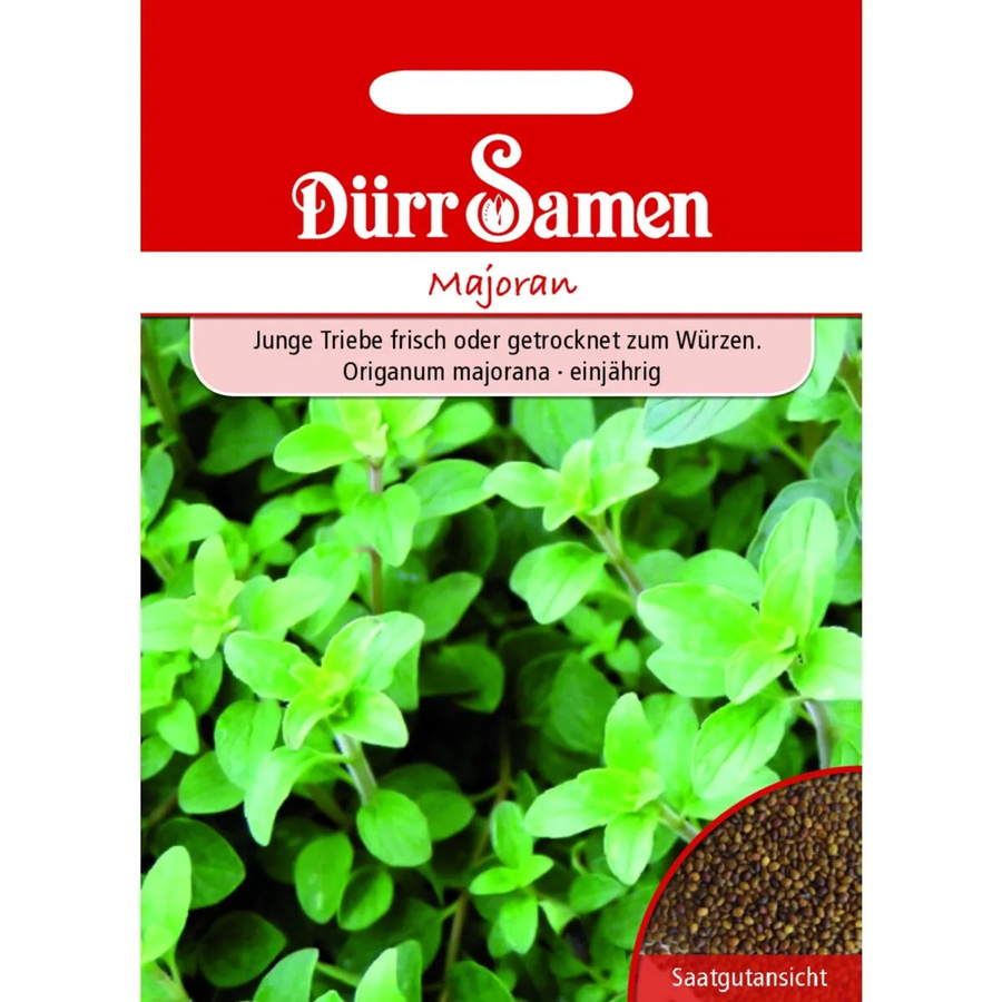 Dürr Majoran Saatgut 1000 g - Bild 2