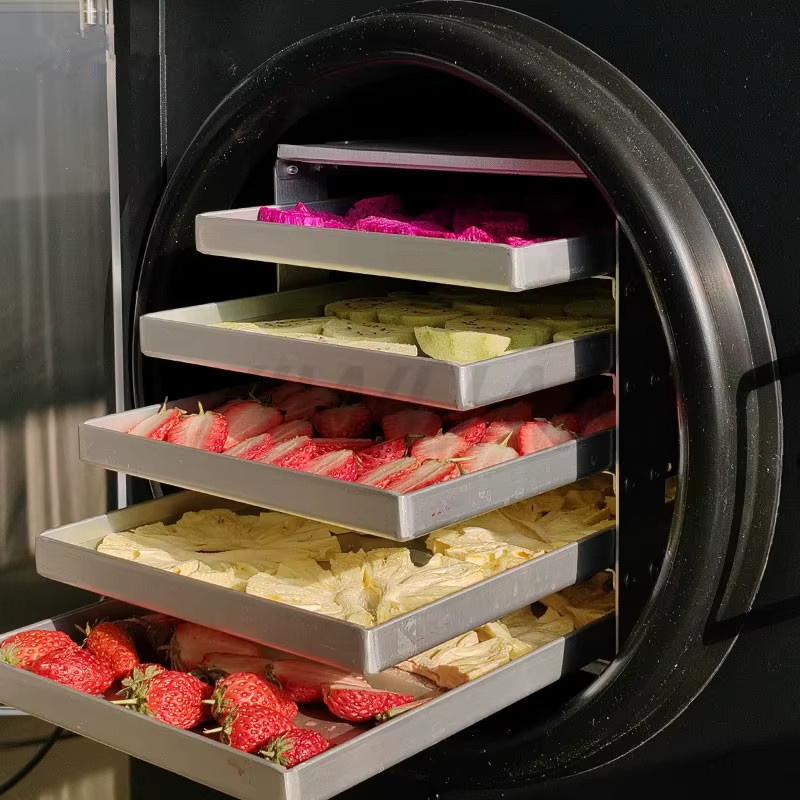 LISM Gefriertrockner für Lebensmittel, Obst und Gemüse, energiesparender Sublimations-Lyophilisator für Zuhause mit 6kg Kapazität und Vakuumpumpe - Bild 2