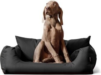 Tierlando NEMO Hundebett Hundesofa in Schwarz/Graphit mit abnehmbarem Bezug und erhöhten Rändern, B/T/H: 65 x 80 x 20 cm - Bild 1