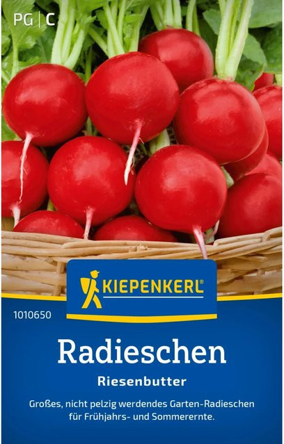 Kiepenkerl Radieschen Riesenbutter Sommersorte - Bild 1