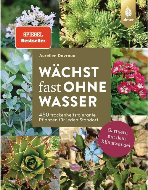 Wächst fast ohne Wasser - Bild 1