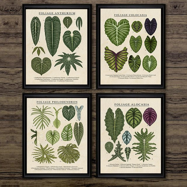 Potdemiel Wandkunst Leinwand Poster mit botanischem Blattmotiv in Grün im Vintage-Stil - Bild 1